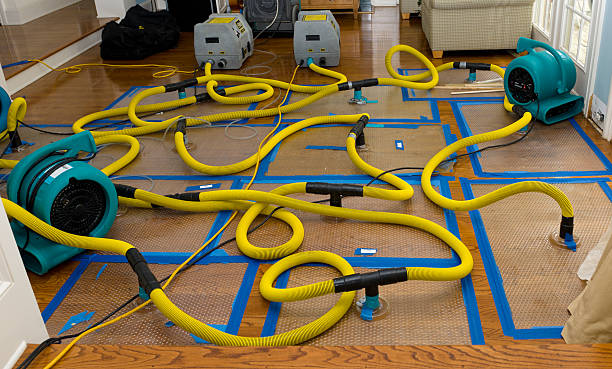 Professional Crawl Space Water Removal technician working in Seaman, OH